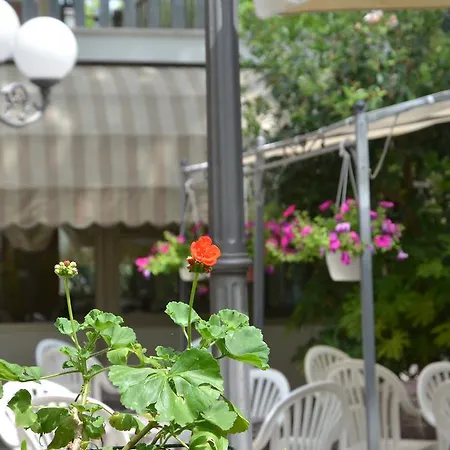 Monique Hotel